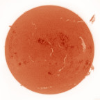 Sonne H-Alpha vom 20.06.2025 - invertiert