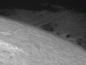 Proti von 17-7-2022 GIF