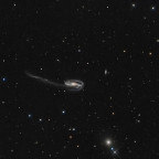 ARP188 - die Tadpole Galaxie