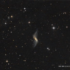 Die Polarringgalaxie NGC 660 im Sternbild Fische
