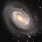 NGC4725  unter Aprilhimmel