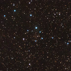 IC1311 Offener Sternhaufen mit der Vaonis Stellina