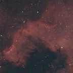 NGC7000 als FirstLight für den TS 96/576 APO