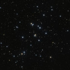 M44 (Offener Sternhaufen, Bienenkorb) - 1h - RGB - OSC ToupTek 2600 Color - Skywatcher 8" Quattro f/4