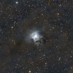 NGC7023 Irisnebel - 71 Minuten mit 30mm Öffnung (Seestar S30)