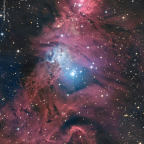 NGC 2264 -Weihnachtsbaum mit Konusnebel