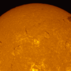 Vogelbeobachtung mit dem 100er Heliostar
