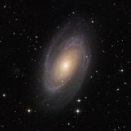 M081CDK-web