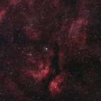 Sadr Region – IC1318 & NGC6888