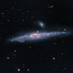 NGC4631 Whale Galaxy mit dem C11