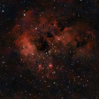 IC410 Kaulquappen-Nebel mit eingebetteten OC NGC1893 - aufgenommen mit dem Seestar S50
