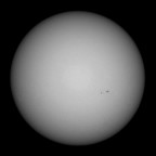 Sonne 18.11.2025 - 8" Newton Skywatcher Quattro - Touptek 2600 Color - Weißlicht