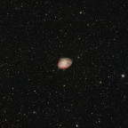 M1 (Krebsnebel) - 10 Stunden - RGB+Schmalband - OSC ToupTek 2600 Color - Skywatcher 8" Quattro f/4