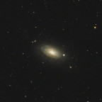 M63 Sonnenblumen Galaxy