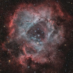 NGC2244 im Rosettennebel