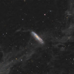 NGC 7497 mit viel Staub