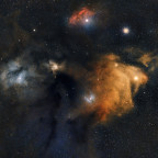 Rho-Ophiuchi -  1,65 Stunden Mosaik mit dem Seestar S30pro