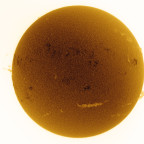 Ha-Sonne 23/05/26