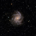 NGC 6946 - Feuerwerksgalaxie