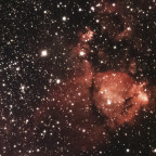 IC1795 Fischkopf-Nebel