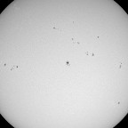 Sonne im Weißlicht vom 16.3.2025