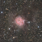 Der Kokonnebel IC 5146