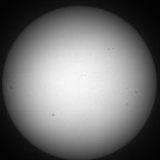 Sonne im Weißlicht am 31. Juli 2025 um 16:44 MESZ - mehr war leider nicht drin